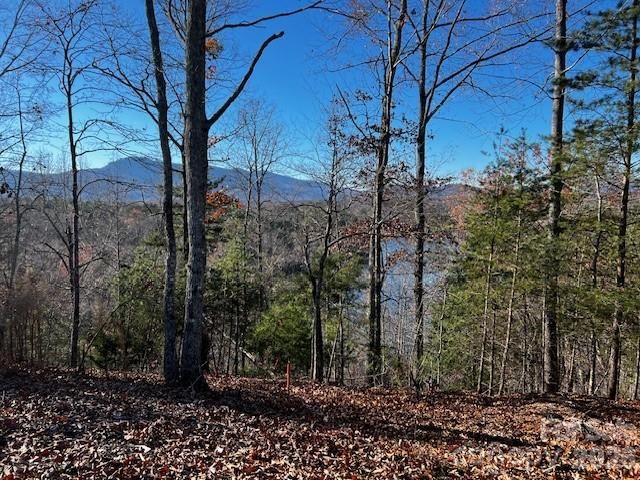 23 Mountain Parkway, Mill Spring, NC 28756