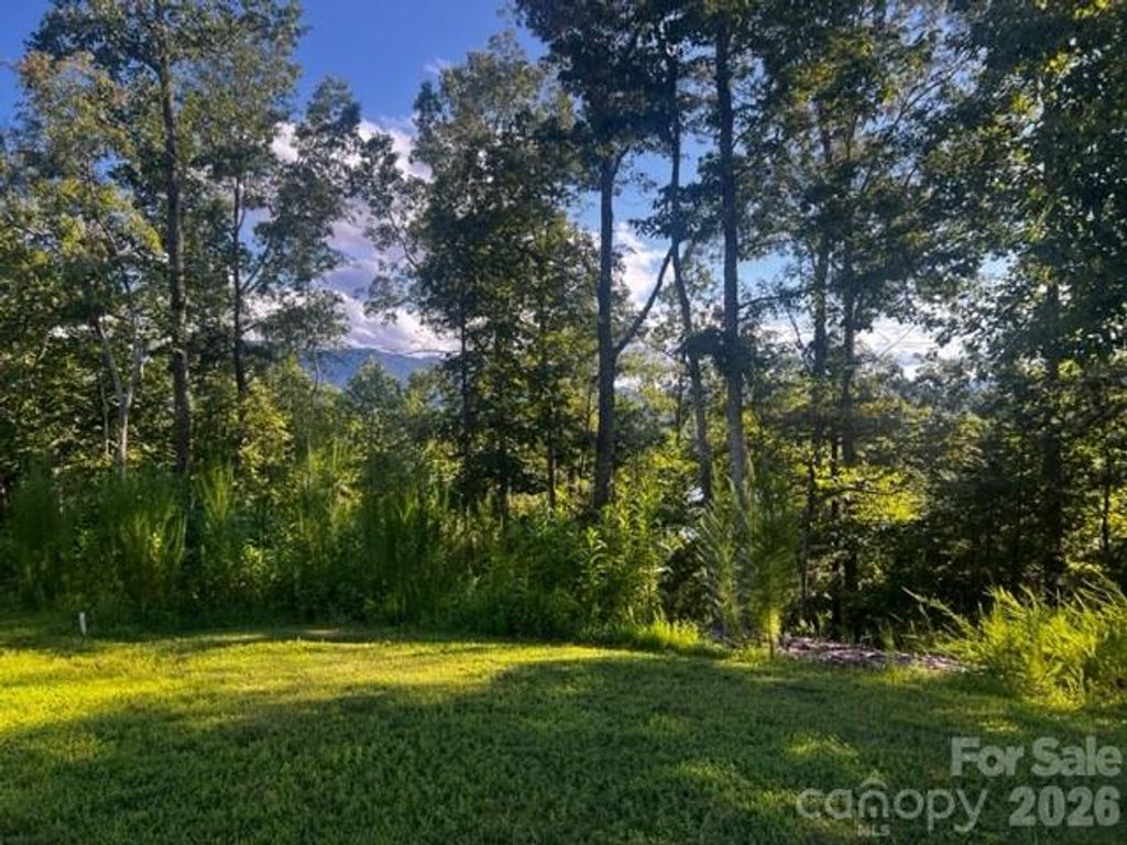 23 Mountain Parkway, Mill Spring, NC 28756