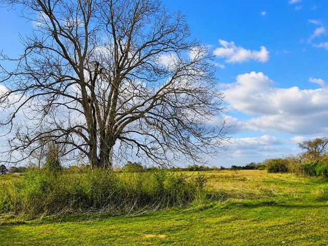TBD W Fm 1161, Wharton, TX 77488