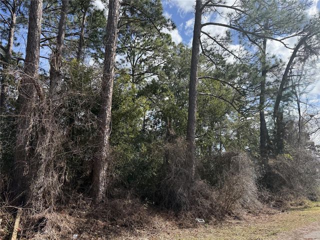 TBD SE 190TH AVENUE, Silver Springs, FL 34488