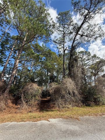 TBD SE 190TH AVENUE, Silver Springs, FL 34488
