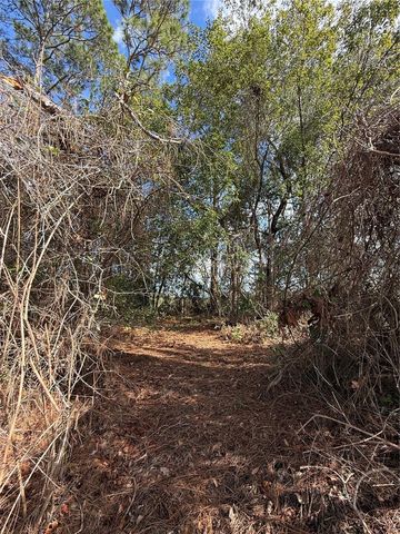 TBD SE 190TH AVENUE, Silver Springs, FL 34488