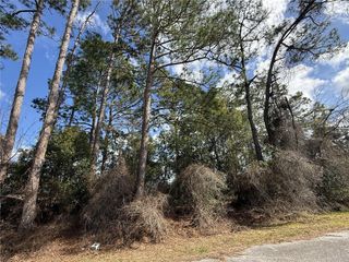 TBD SE 190TH AVENUE, Silver Springs, FL 34488