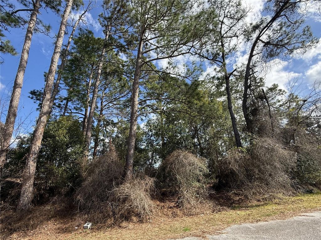 TBD SE 190TH AVENUE, Silver Springs, FL 34488