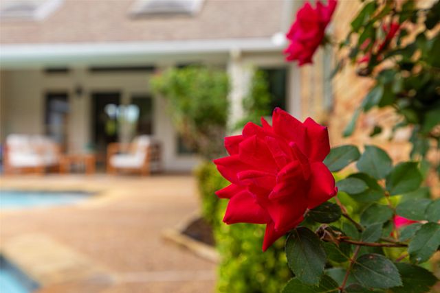 5824 Gallant Fox Lane, Plano, TX 75093