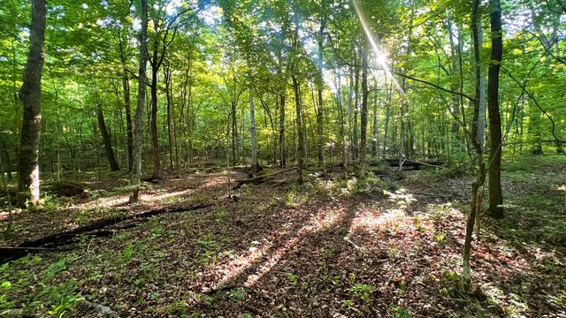 7 Mile Ridge Road, Indian Mound, TN 37079