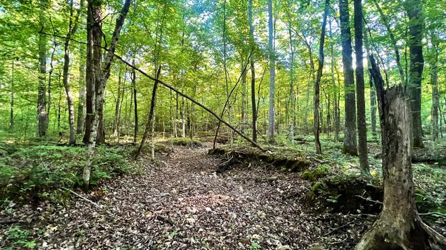 7 Mile Ridge Road, Indian Mound, TN 37079