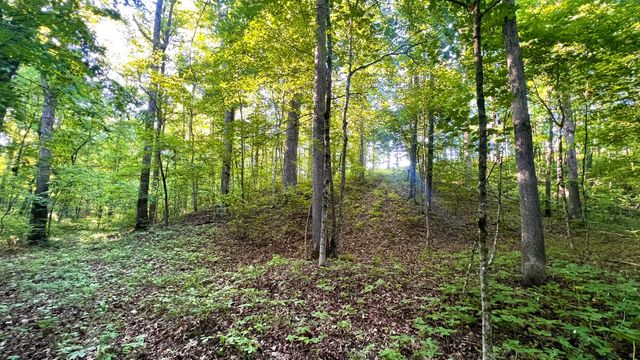 7 Mile Ridge Road, Indian Mound, TN 37079