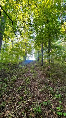 7 Mile Ridge Road, Indian Mound, TN 37079
