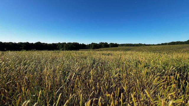 7 Mile Ridge Road, Indian Mound, TN 37079
