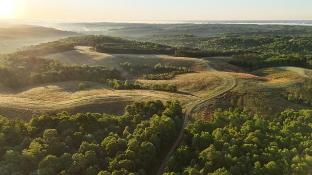 7 Mile Ridge Road, Indian Mound, TN 37079