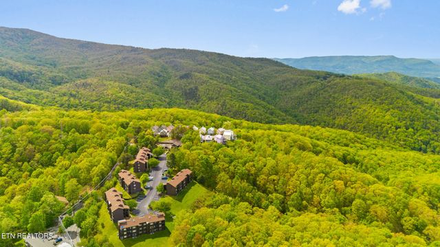 1380 Ski View Drive 3204, Gatlinburg, TN 37738