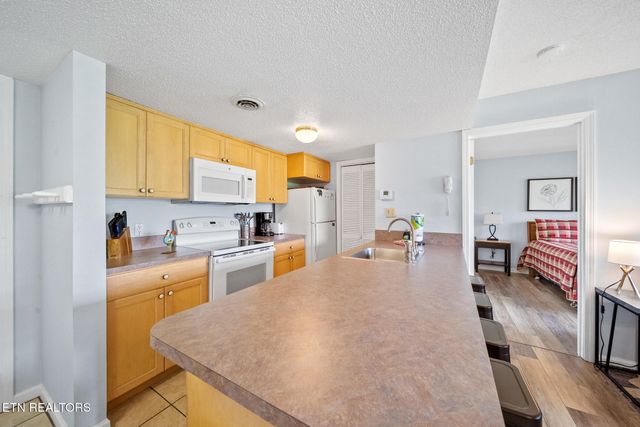 1380 Ski View Drive 3204, Gatlinburg, TN 37738