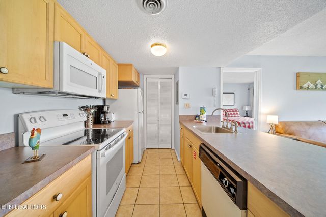 1380 Ski View Drive 3204, Gatlinburg, TN 37738