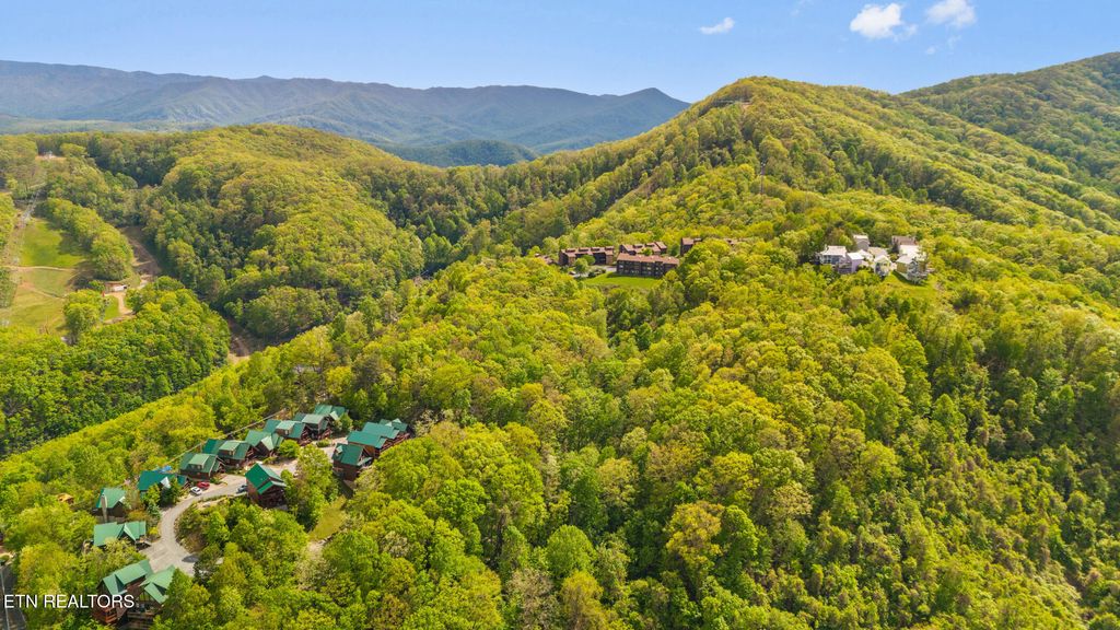 1380 Ski View Drive 3204, Gatlinburg, TN 37738