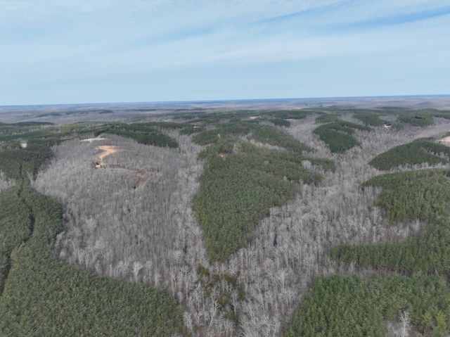 71 Auburn Ct, Linden, TN 37096