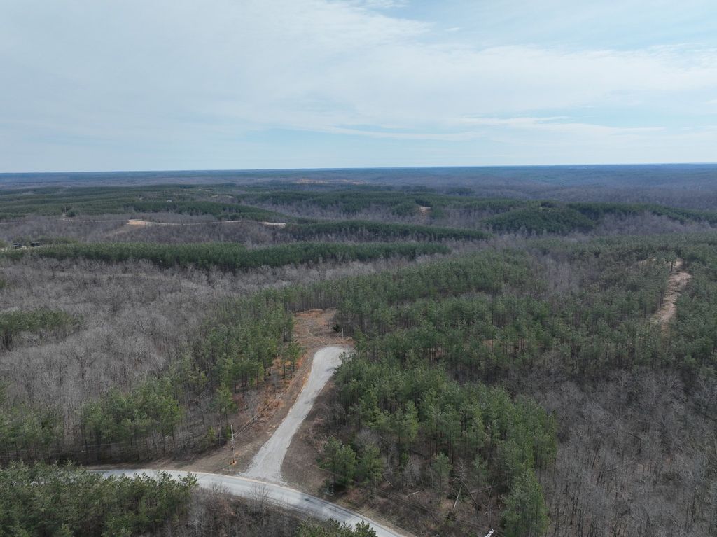 71 Auburn Ct, Linden, TN 37096