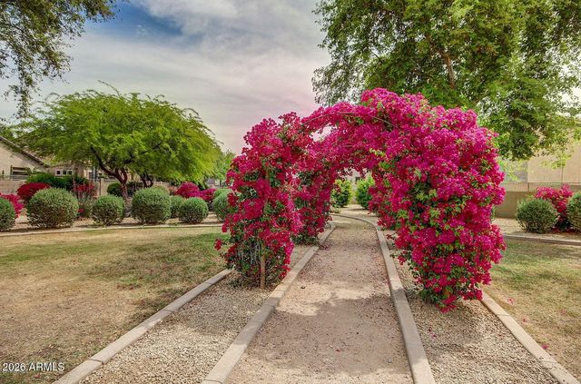 14290 W LEXINGTON Avenue, Goodyear, AZ 85395