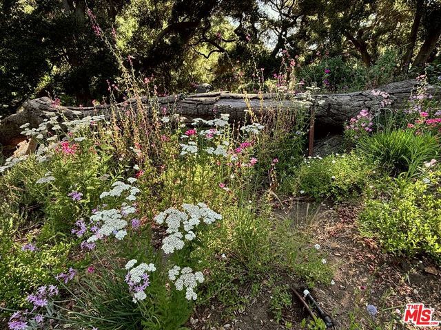 1149 Old Topanga Canyon Road, Topanga, CA 90290