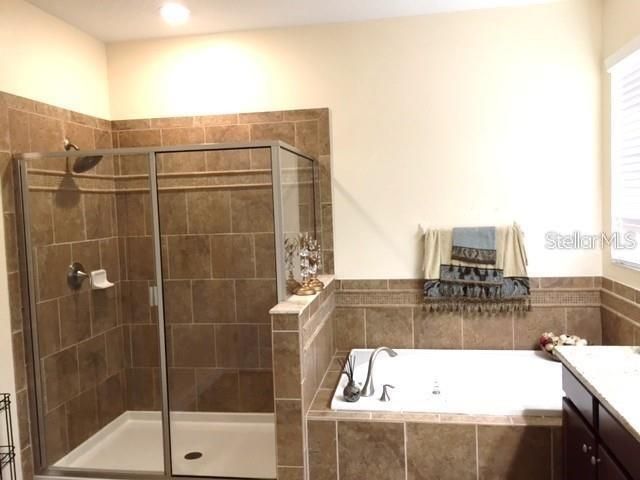 19335 PADDOCK VIEW DRIVE, Tampa, FL 33647