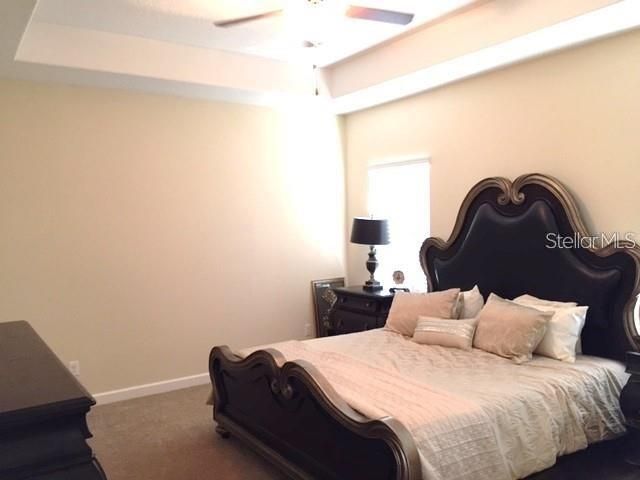 19335 PADDOCK VIEW DRIVE, Tampa, FL 33647