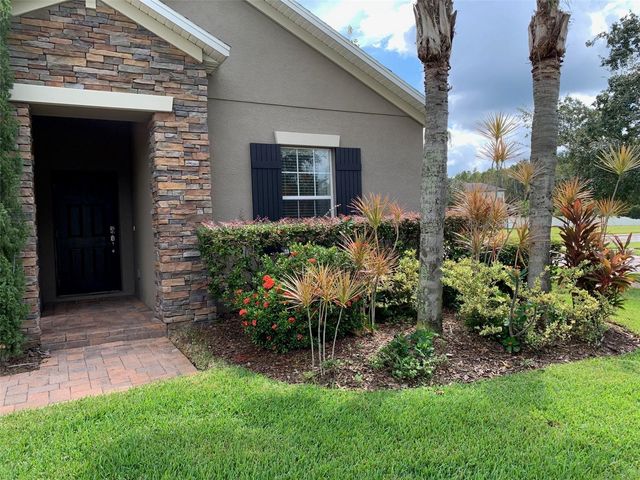19335 PADDOCK VIEW DRIVE, Tampa, FL 33647