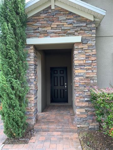 19335 PADDOCK VIEW DRIVE, Tampa, FL 33647
