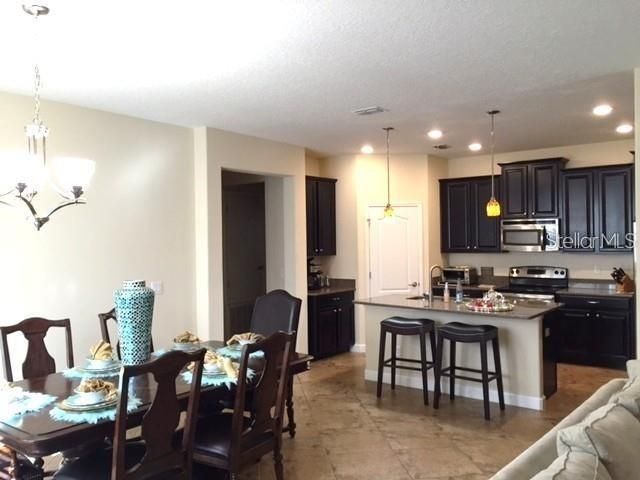 19335 PADDOCK VIEW DRIVE, Tampa, FL 33647