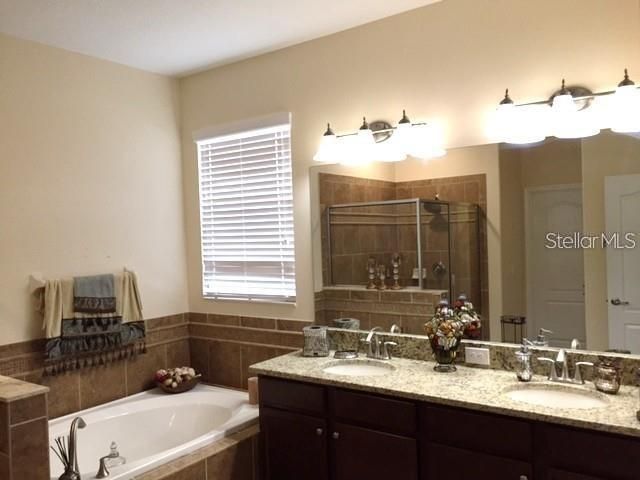 19335 PADDOCK VIEW DRIVE, Tampa, FL 33647