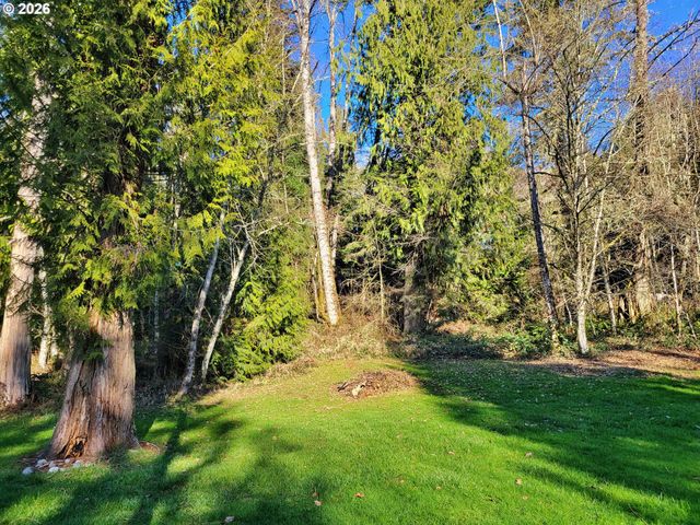301 WINSTON CREEK Rd, Mossyrock, WA 98564
