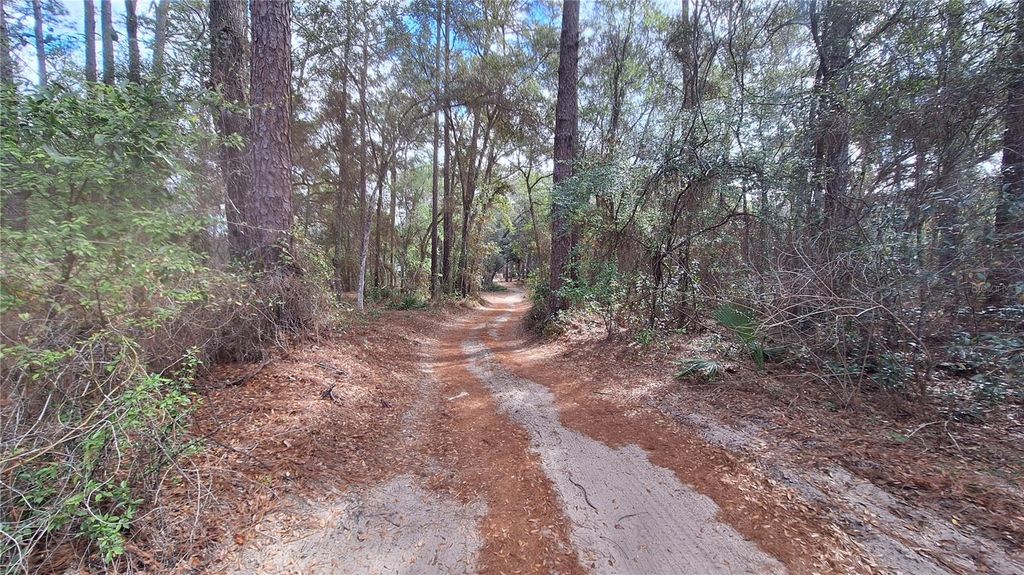Image 4 of property listing at 23548 NE 120TH STREET, Fort Mc Coy, FL 32134