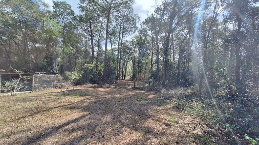 Image 39 of property listing at 23548 NE 120TH STREET, Fort Mc Coy, FL 32134