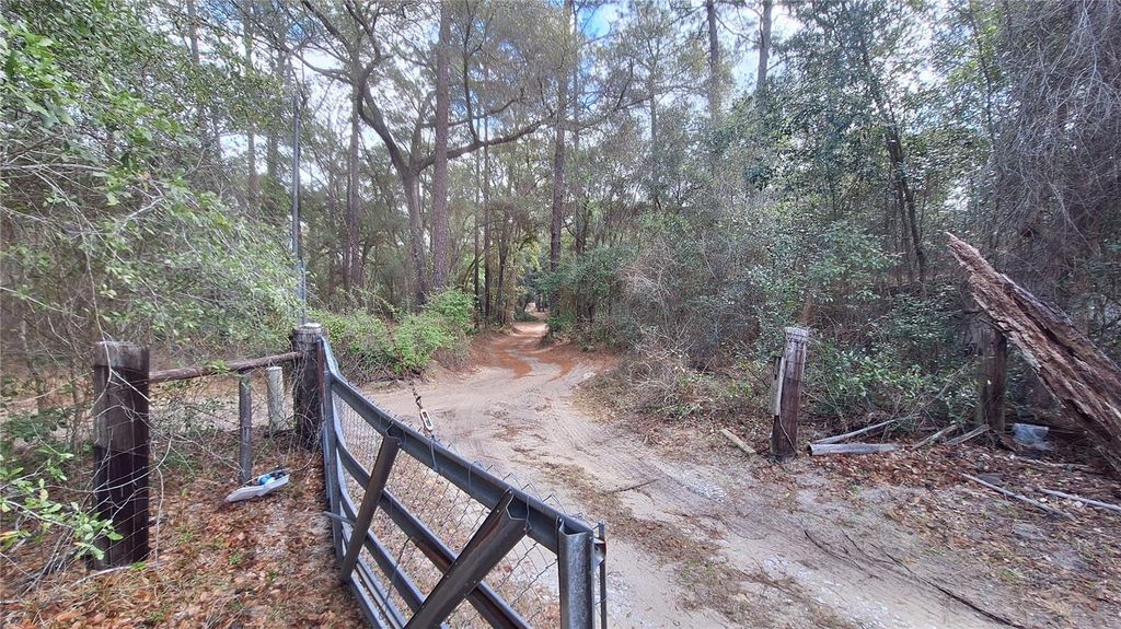 Image 5 of property listing at 23548 NE 120TH STREET, Fort Mc Coy, FL 32134