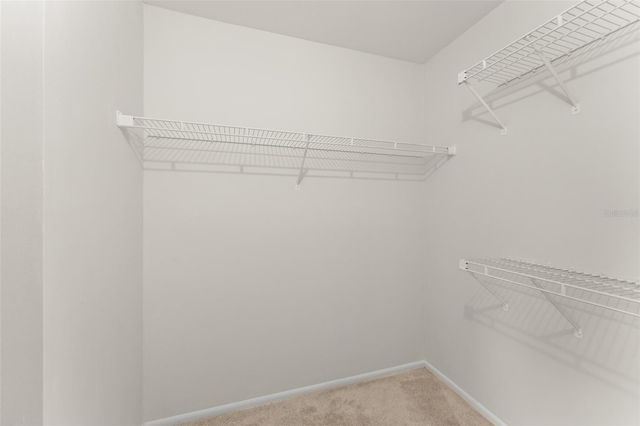 490 N PIN OAK PLACE 216, Longwood, FL 32779