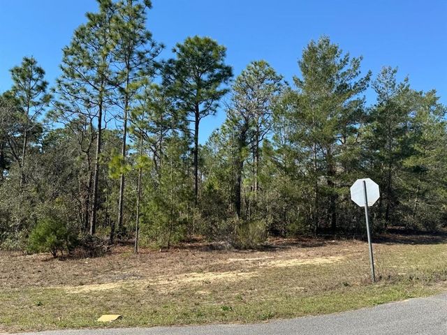 6568 N DUNLAP TERRACE, Citrus Springs, FL 34433