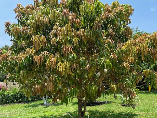 1740 Ludlow RD, Marco Island, FL 34145