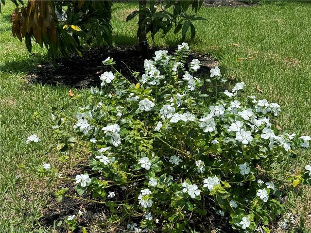 1740 Ludlow RD, Marco Island, FL 34145