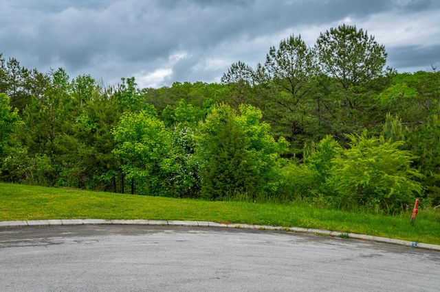 596 Kashaya Lane, Soddy Daisy, TN 37379