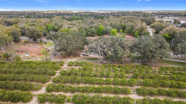 17331 COUNTY ROAD 33, Groveland, FL 34736