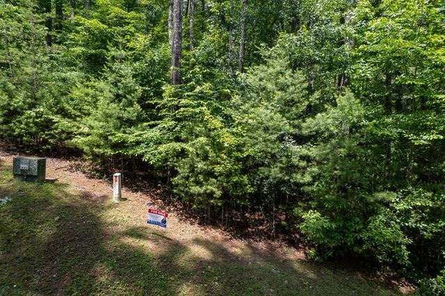 TBD Spectacular, Hayesville, NC 28904