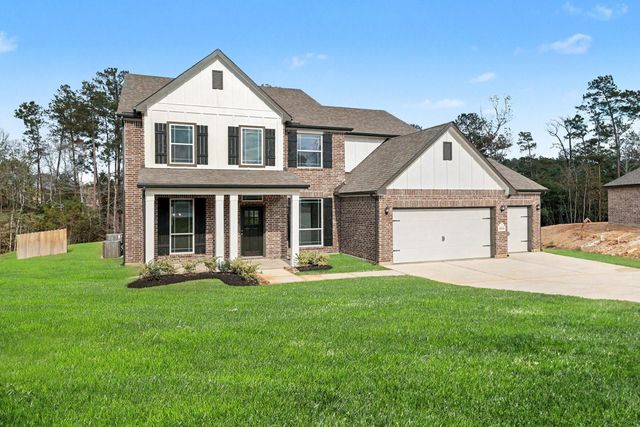 18319 Tammy Nell, Willis, TX 77378
