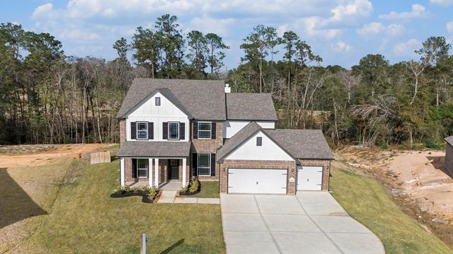 18319 Tammy Nell, Willis, TX 77378