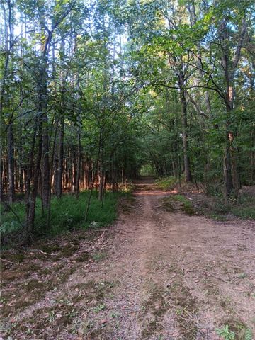 10282 Smith Lane, Dardanelle, AR 72834