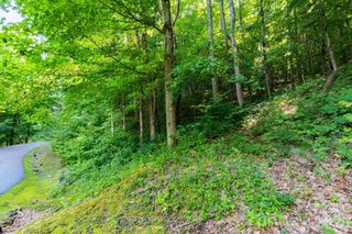 Lot 30 Finlaystone Trace 30, Waynesville, NC 28786