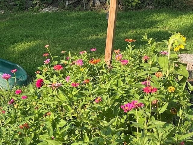 806 Galveston Drive, Liberty, MO 64068