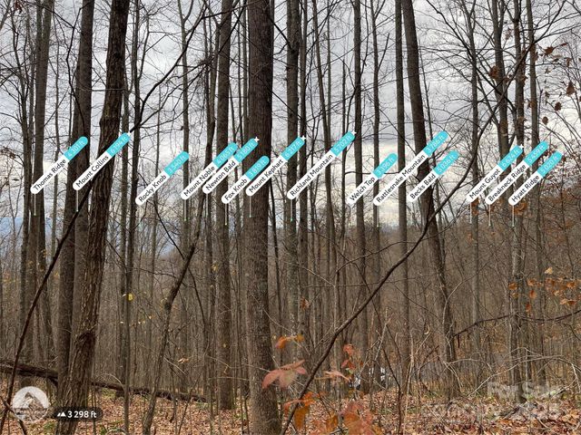 805 Sparkling Falls Road, Whittier, NC 28789