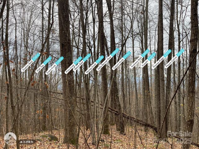 805 Sparkling Falls Road, Whittier, NC 28789