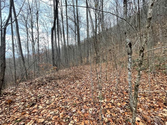 805 Sparkling Falls Road, Whittier, NC 28789