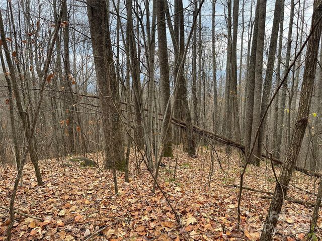 805 Sparkling Falls Road, Whittier, NC 28789