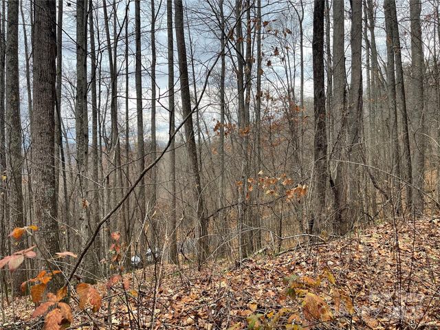 805 Sparkling Falls Road, Whittier, NC 28789